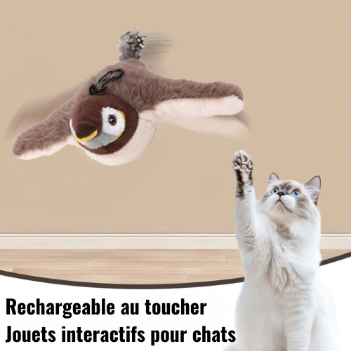 Catfri® Moineau Dansant – Le Compagnon de Jeu Ultime pour Votre Chat