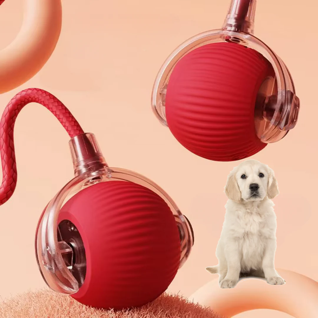 PurrChase™ – La balle interactive intelligente pour chats et chiens