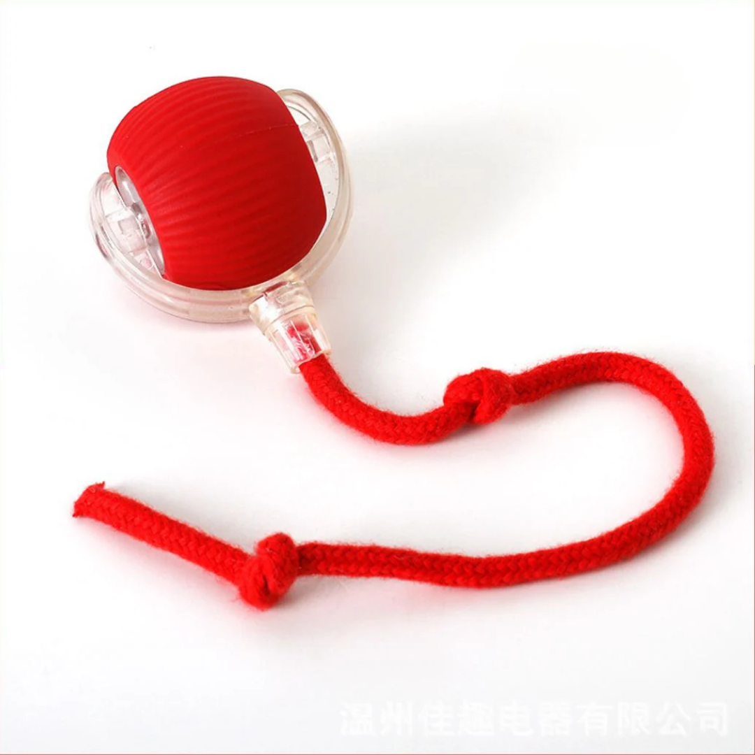 PurrChase™ – La balle interactive intelligente pour chats et chiens
