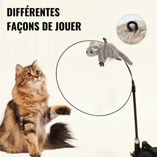 Catfri® Moineau Dansant – Le Compagnon de Jeu Ultime pour Votre Chat