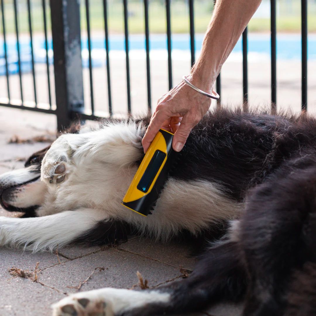 Brosse Universelle Tout-en-Un pour Animaux