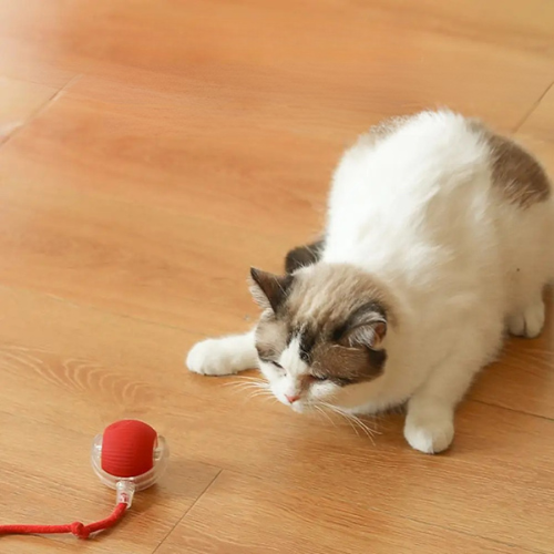 PurrChase™ – La balle interactive intelligente pour chats et chiens
