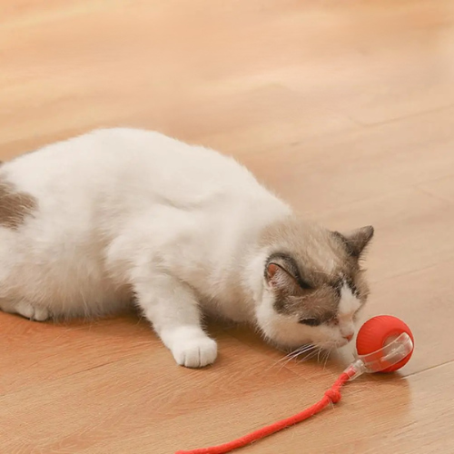 PurrChase™ – La balle interactive intelligente pour chats et chiens