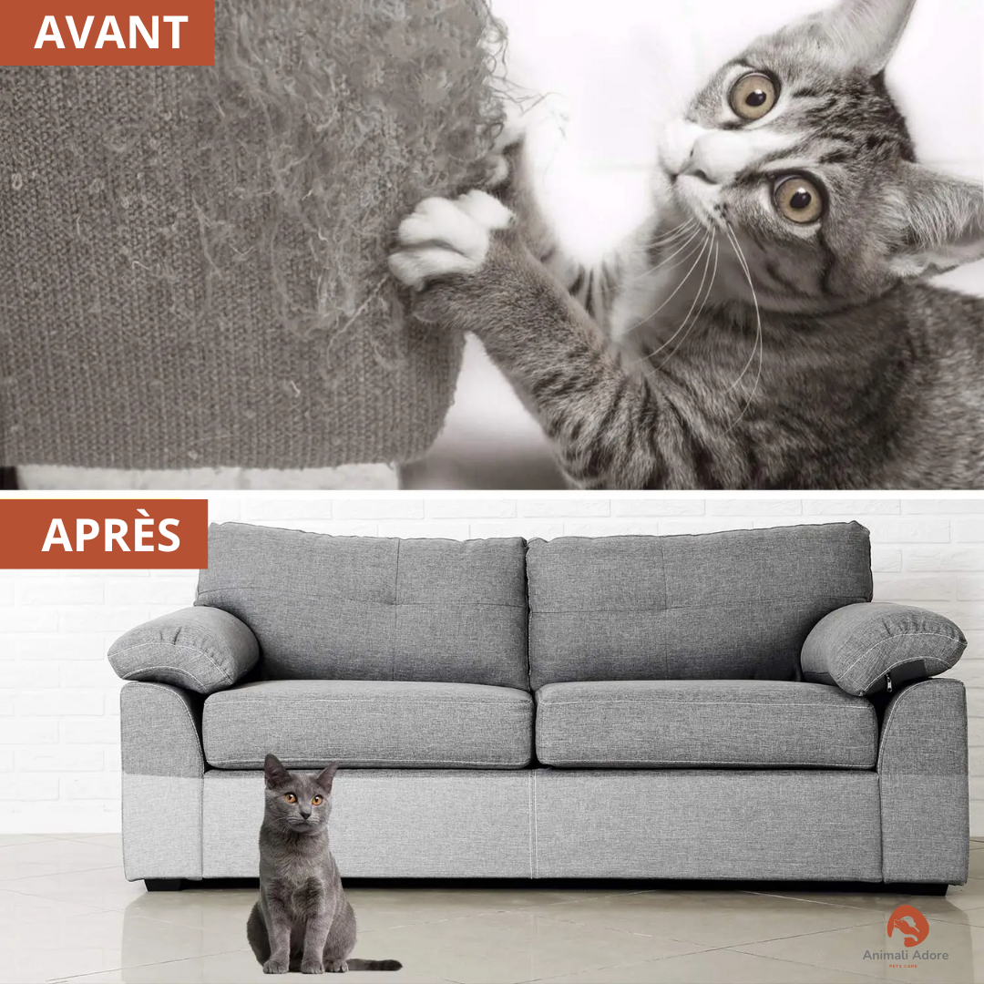 Protecteurs de Meubles FelinShield™
