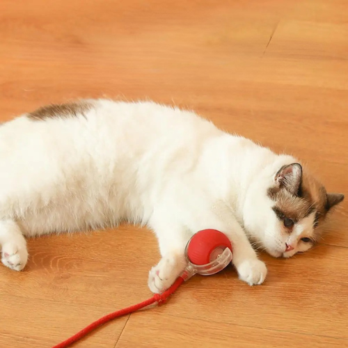 PurrChase™ – La balle interactive intelligente pour chats et chiens