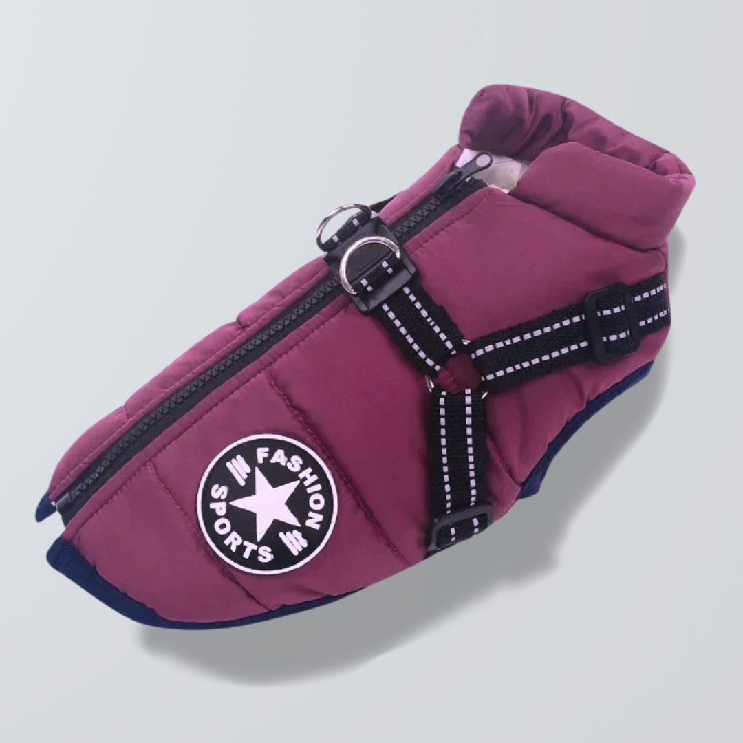 Gilet Hivernale Étanche - DogLove Confort+