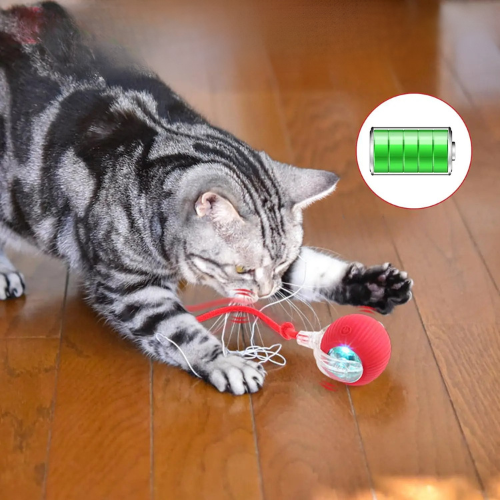 PurrChase™ – La balle interactive intelligente pour chats et chiens