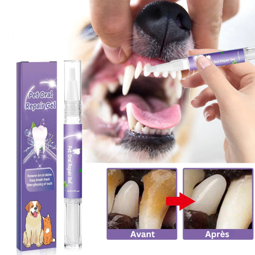 Gel bucal pour animaux - Pet Repair Gel™