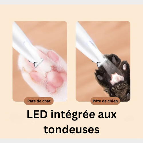 PawGroomer PRO™ – 🐾 Tondeuse pour Animaux de Compagnie avec Lumière LED