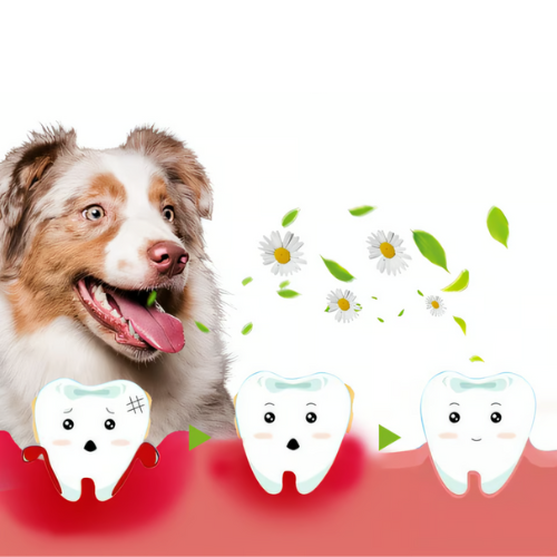 Gel bucal pour animaux - Pet Repair Gel™