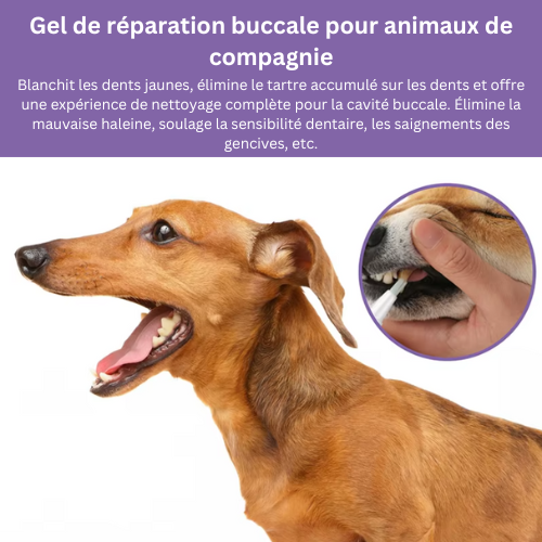 Gel bucal pour animaux - Pet Repair Gel™