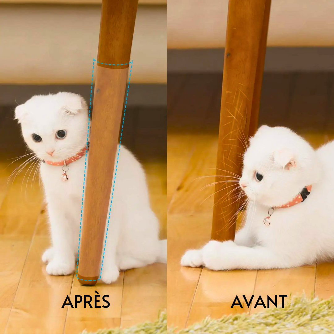 Protecteurs de Meubles FelinShield™