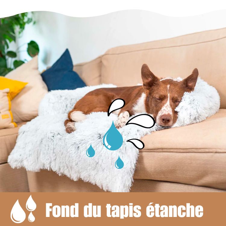 Le tapis lit anti-stress et protecteur pour votre compagnon à quatre pattes