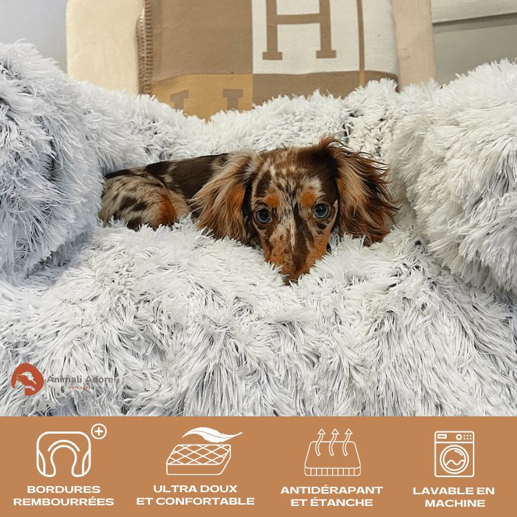 Le tapis lit anti-stress et protecteur pour votre compagnon à quatre pattes
