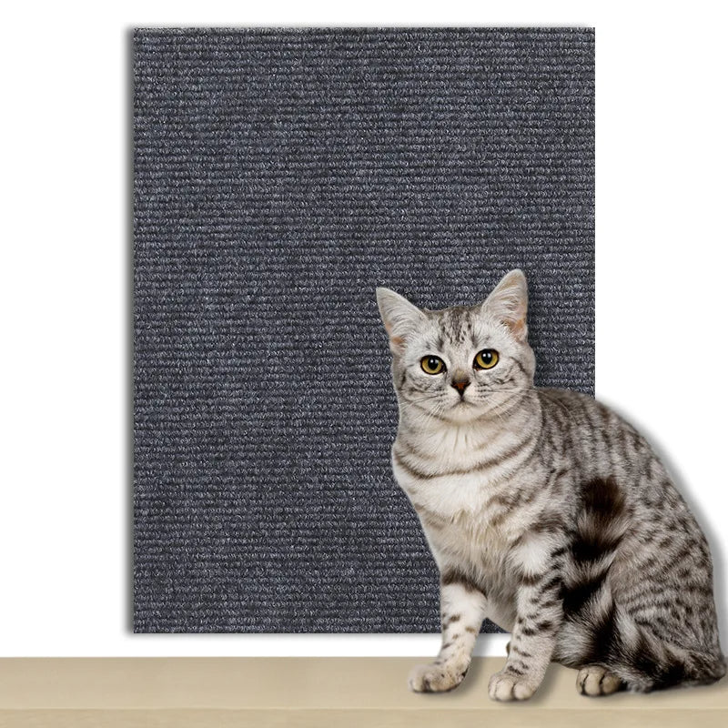 Protection Universelle Anti-Griffes - ScratchGuard™