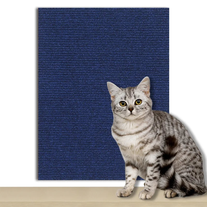 Protection Universelle Anti-Griffes - ScratchGuard™
