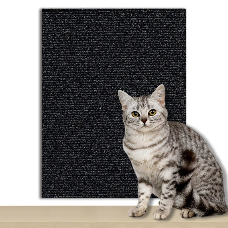 Protection Universelle Anti-Griffes - ScratchGuard™