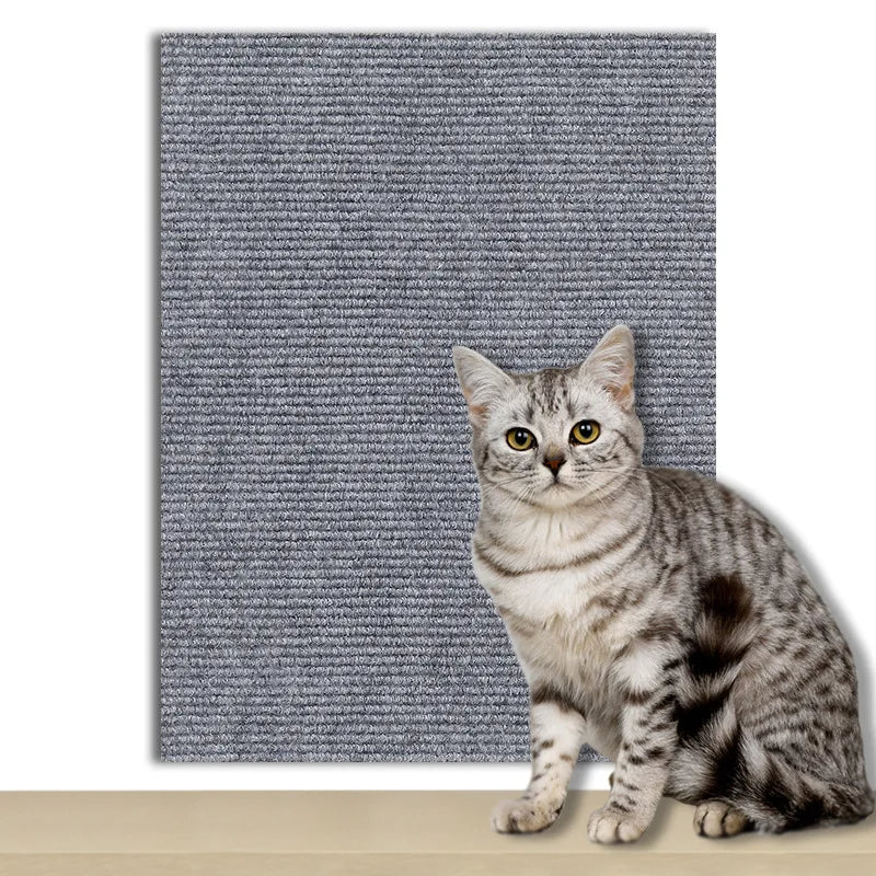 Protection Universelle Anti-Griffes - ScratchGuard™
