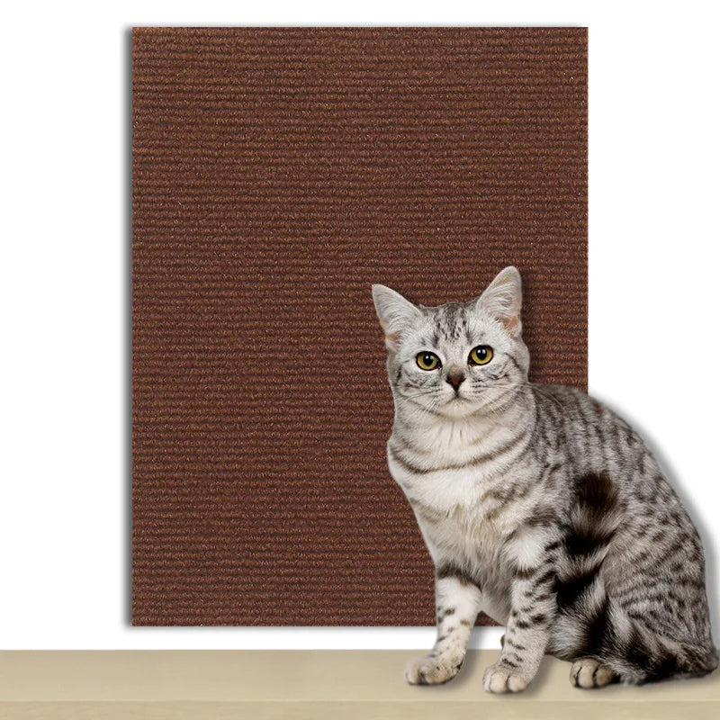 Protection Universelle Anti-Griffes - ScratchGuard™