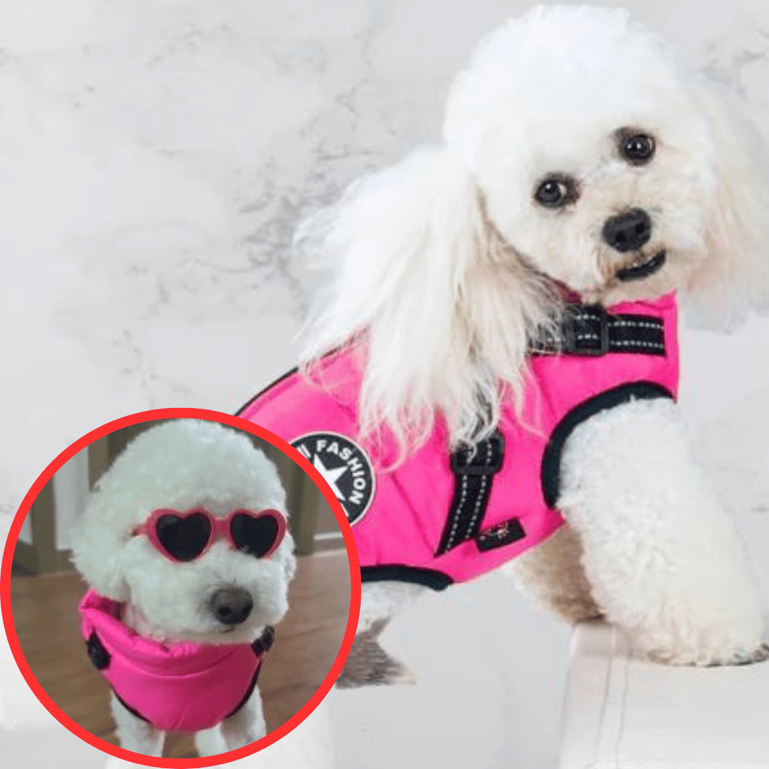 Gilet Hivernale Étanche - DogLove Confort+