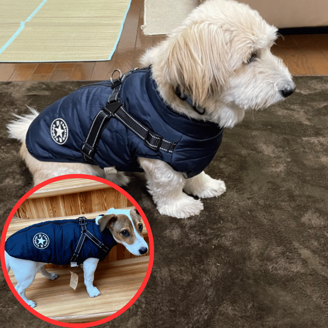 Gilet Hivernale Étanche - DogLove Confort+