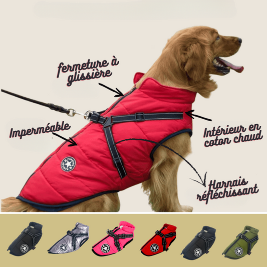 Gilet Hivernale Étanche - DogLove Confort+