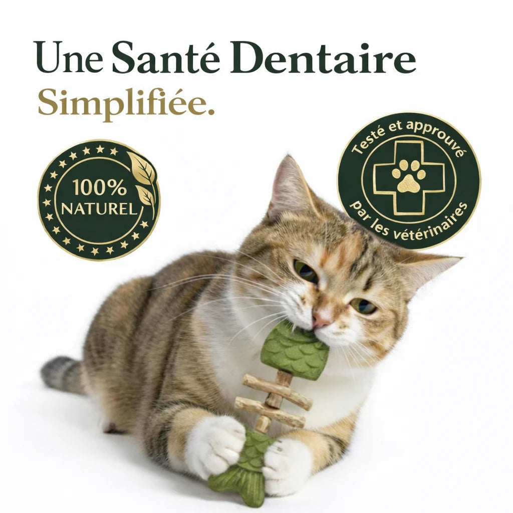 Jouet Dentaire Chat — Herbe à Chat Naturelle & Nettoyage des Dents