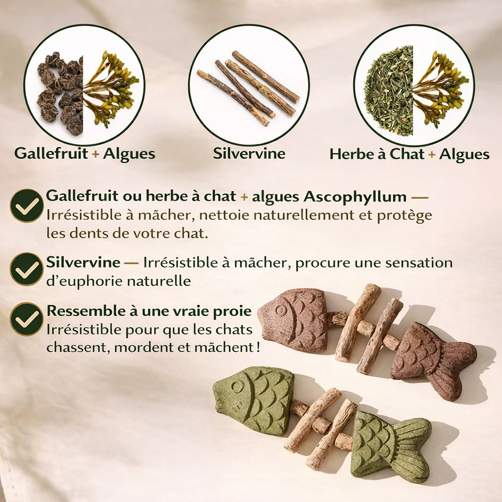 Jouet Dentaire Chat — Herbe à Chat Naturelle & Nettoyage des Dents