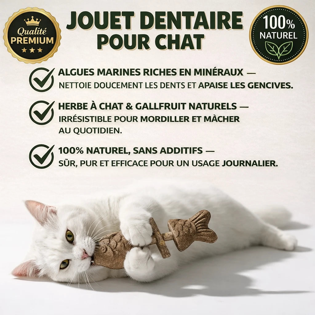 Jouet Dentaire Chat — Herbe à Chat Naturelle & Nettoyage des Dents