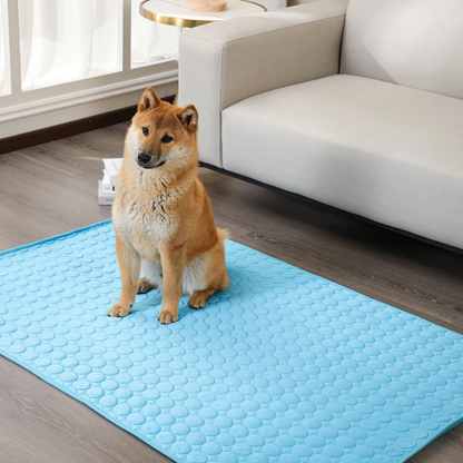 FraisMat™ - Tapis Rafraîchissant pour Animaux