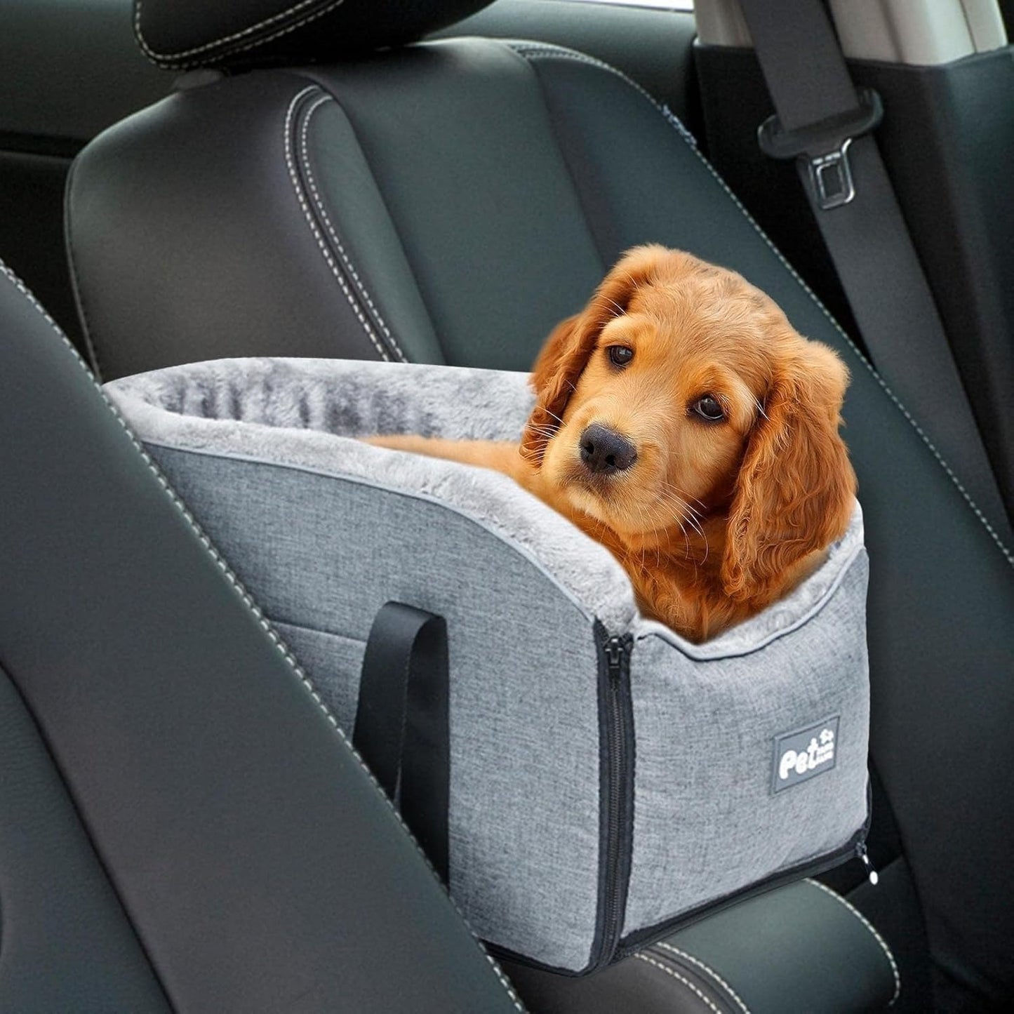 Siège de voiture central portable pour chien