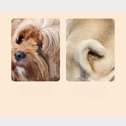 PawGroomer PRO™  – 🐾 Tondeuse pour Animaux de Compagnie avec Lumière LED