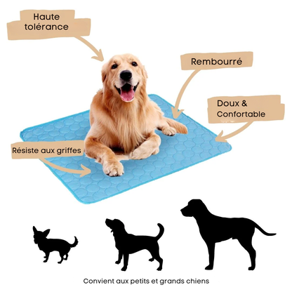 FraisMat™ - Tapis Rafraîchissant pour Animaux