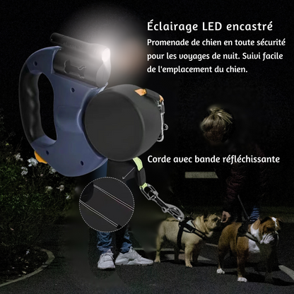 Laisse Rétractable pour Deux Chiens – Contrôle et Sécurité